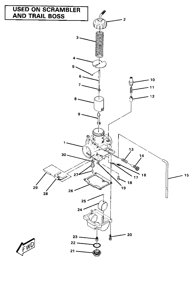 Carburetor Assembly (4910981098048A)