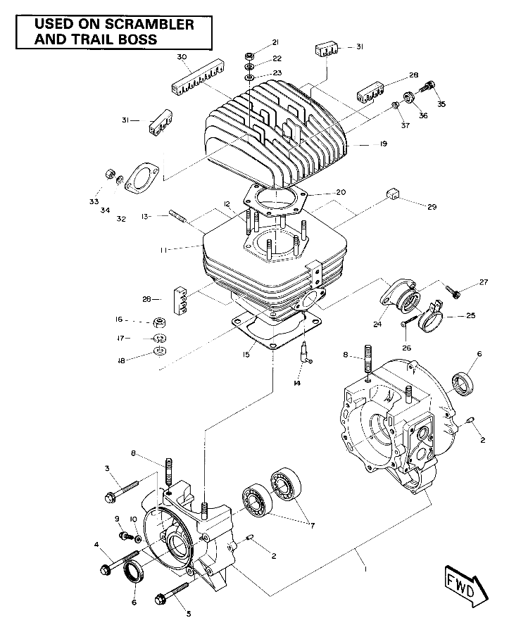 Crankcase and Cylinder Assembly (4911991199042A)