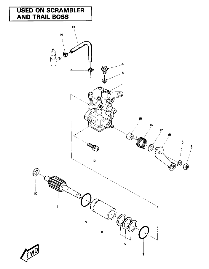 Oil Pump Assembly (4911991199046A)