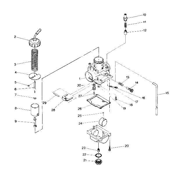 Carburetor Assembly (4913491349034A)