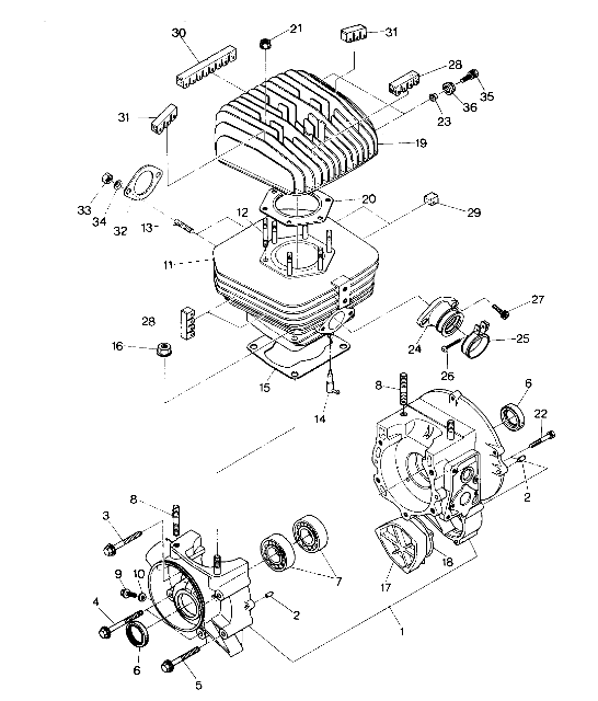 Crankcase and Cylinder Assembly (4913501350031A)