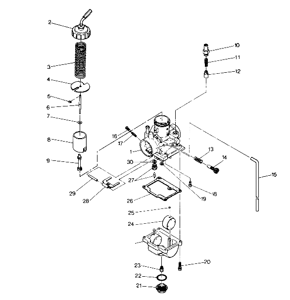 Carburetor Assembly (4913501350034A)