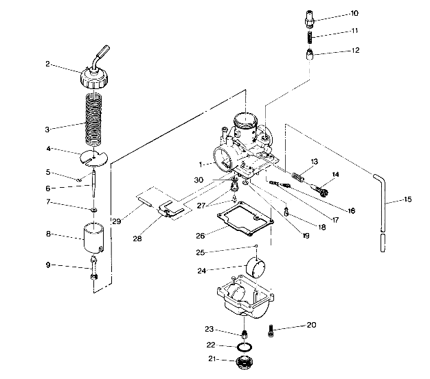 Carburetor Assembly (4913511351041A)