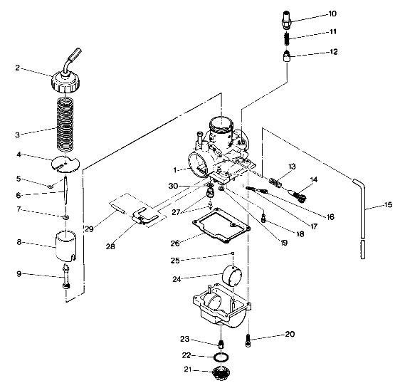 Carburetor Assembly (4913521352041A)