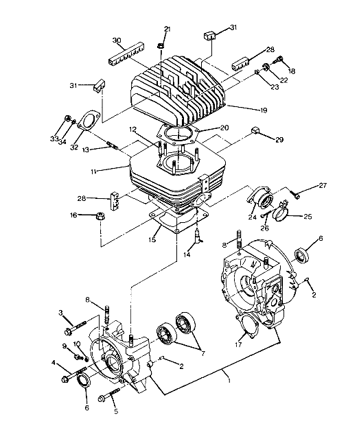 CRANKCASE and CYLINDER ASSEMBLY TRAIL BLAZER (4919761976033A)