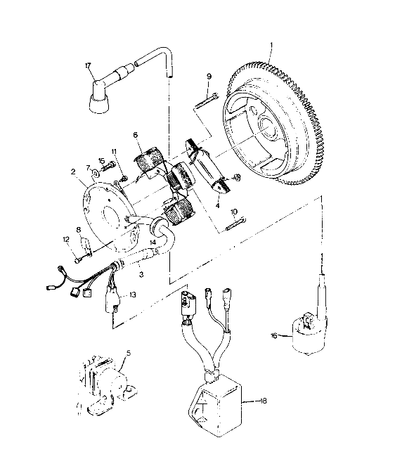 MAGNETO ASSEMBLY 250 2X4 - Update (4919781978038A)