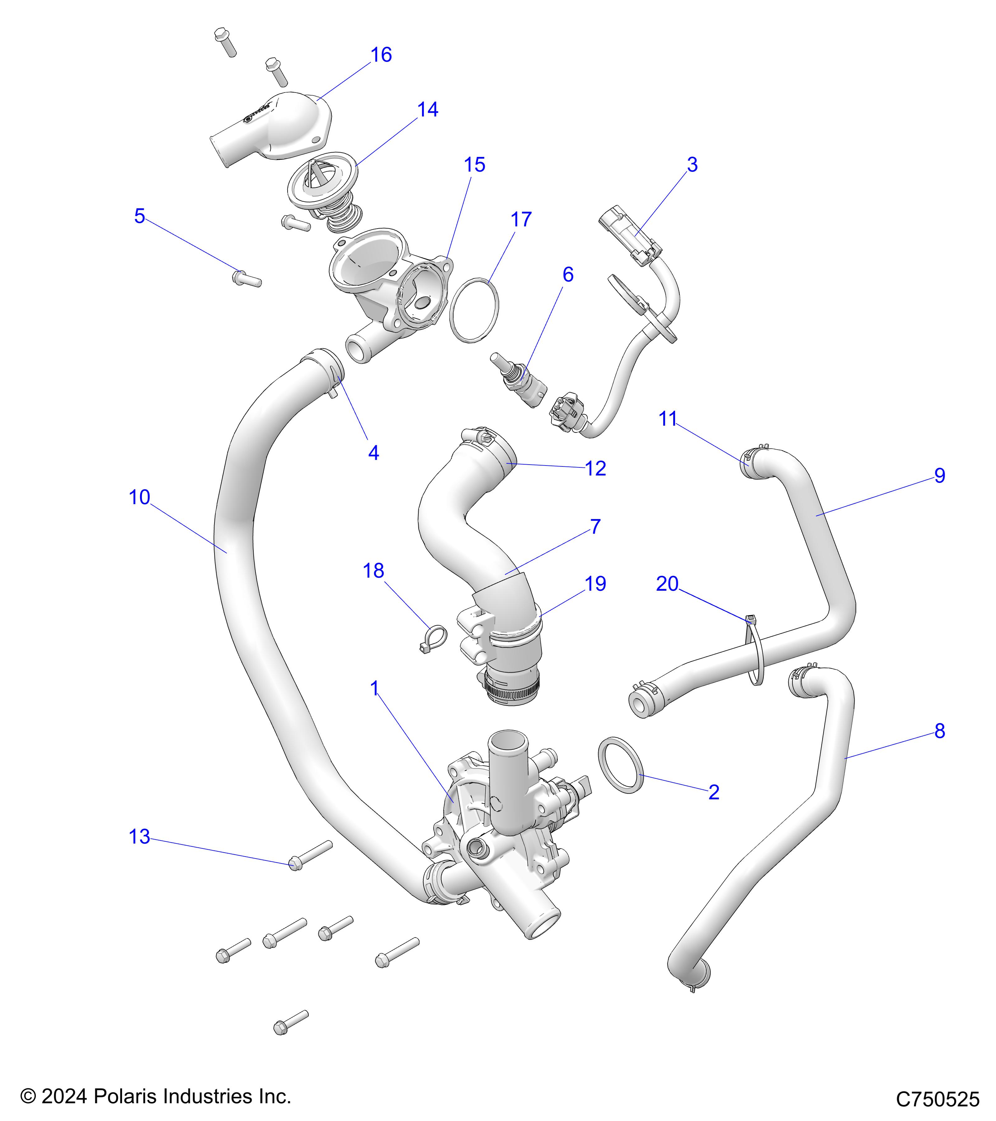 ENGINE, WATERPUMP AND BYPASS - Z25NEB99A4/B4 (C750525)