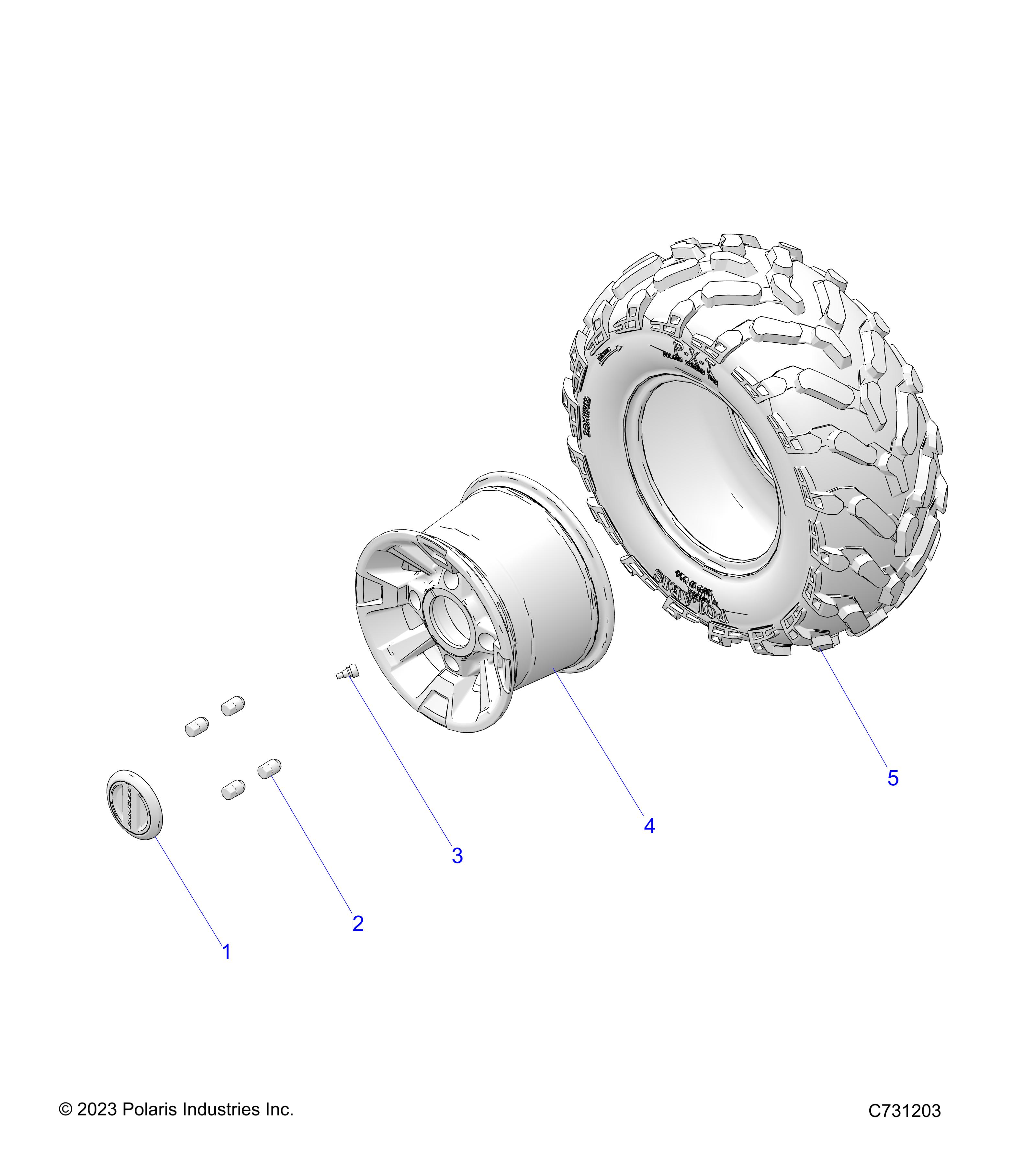 WHEELS, REAR - R24T6E99NM (C731203)