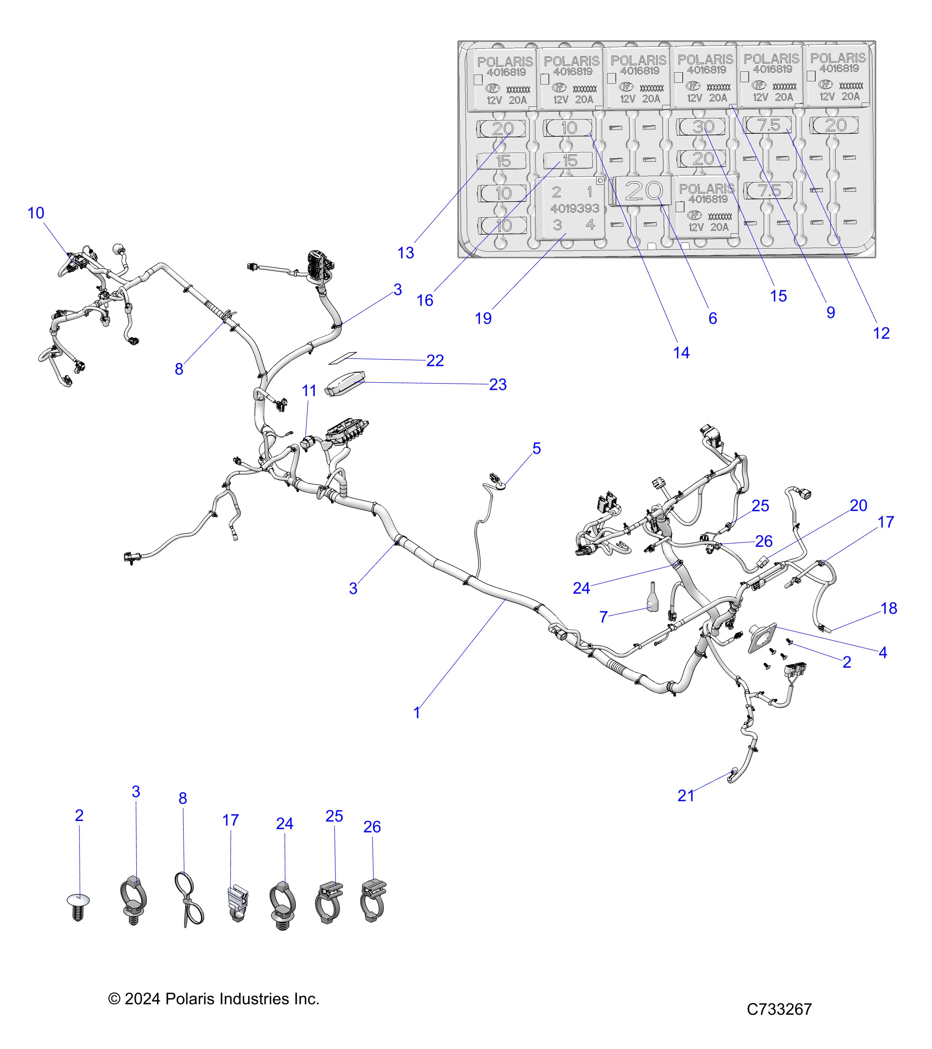 ELECTRICAL, WIRE HARNESS - R25RSF99AY/AL (C733267)