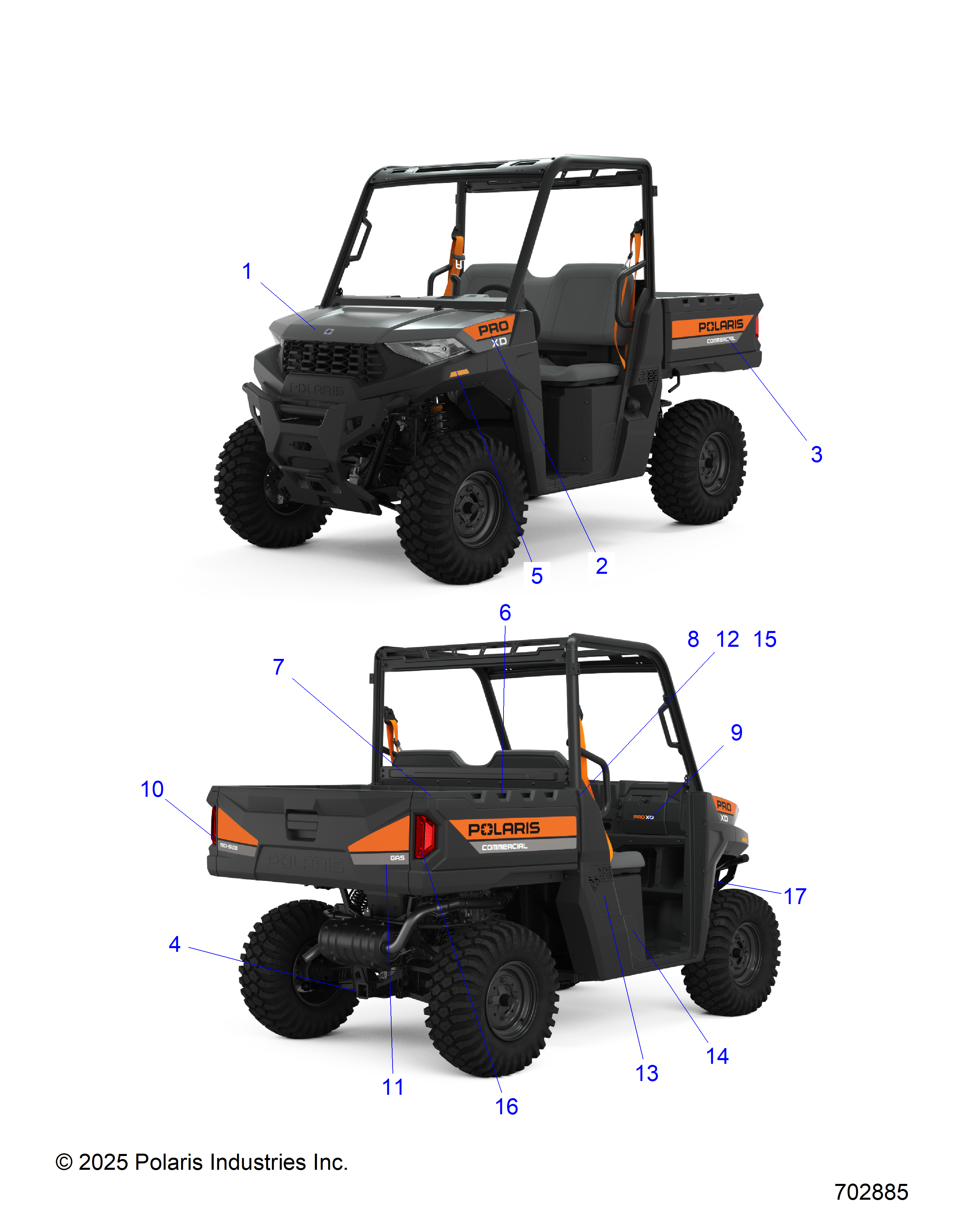 BODY, DECALS -   (702885)